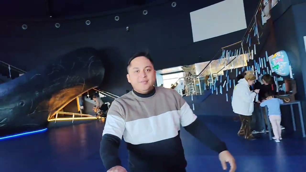Yubi Laia se sorprende de ver el tiburón 🦈 