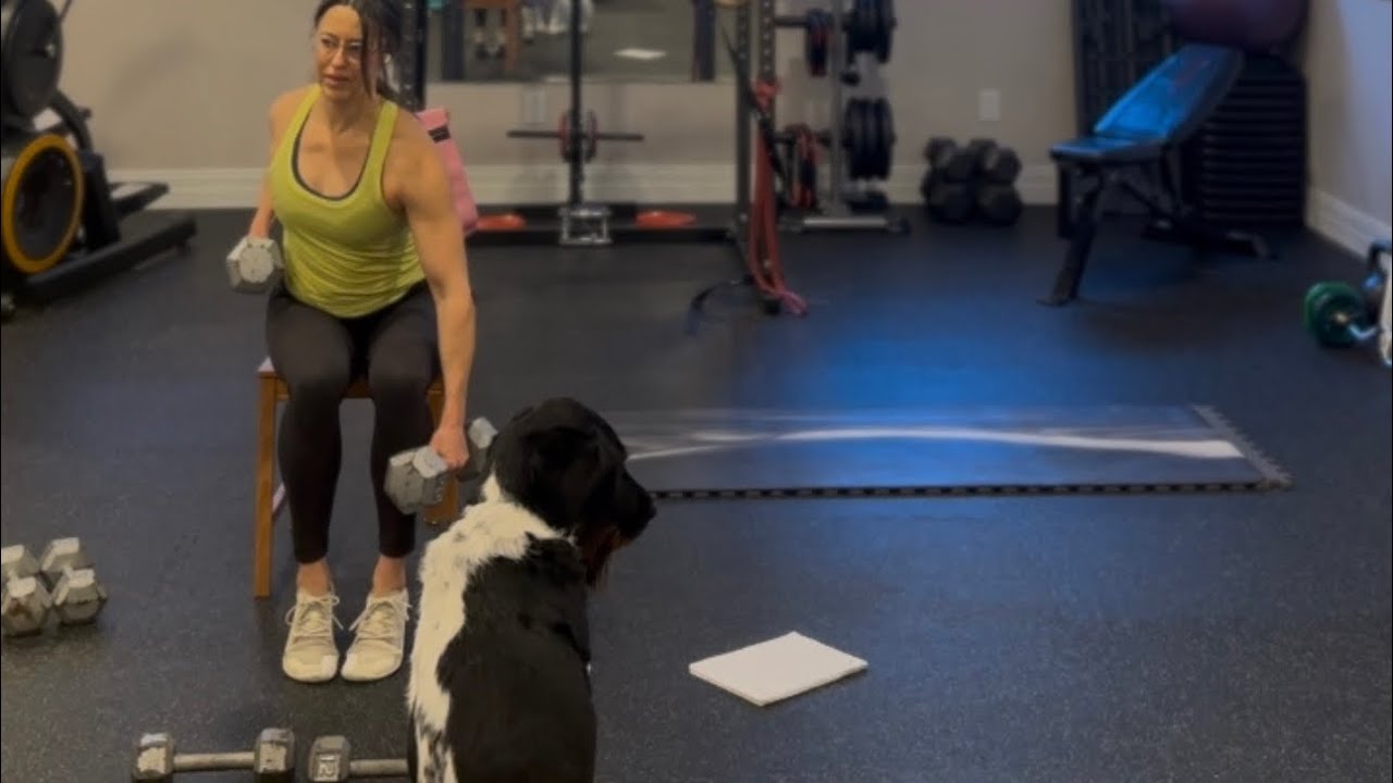 Full Body Strength Workout 