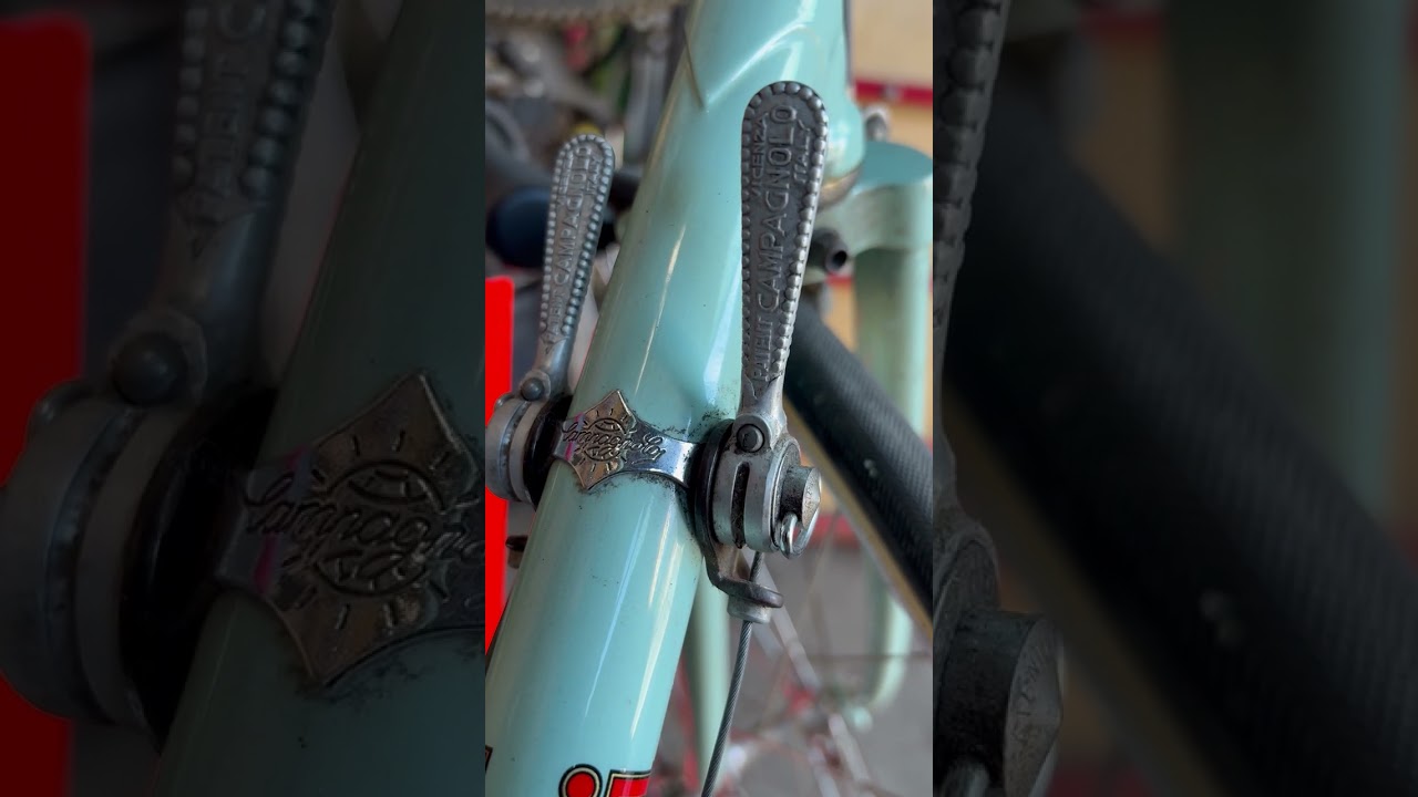 '50's Binachi team specialissima