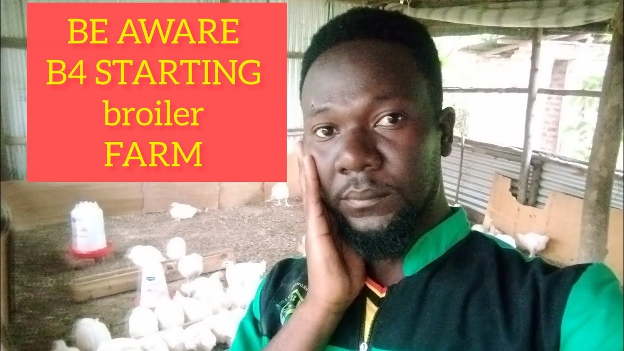BE AWARE OF THESE 5 FACTS BEFORE STARTING A BROILER FARM 
