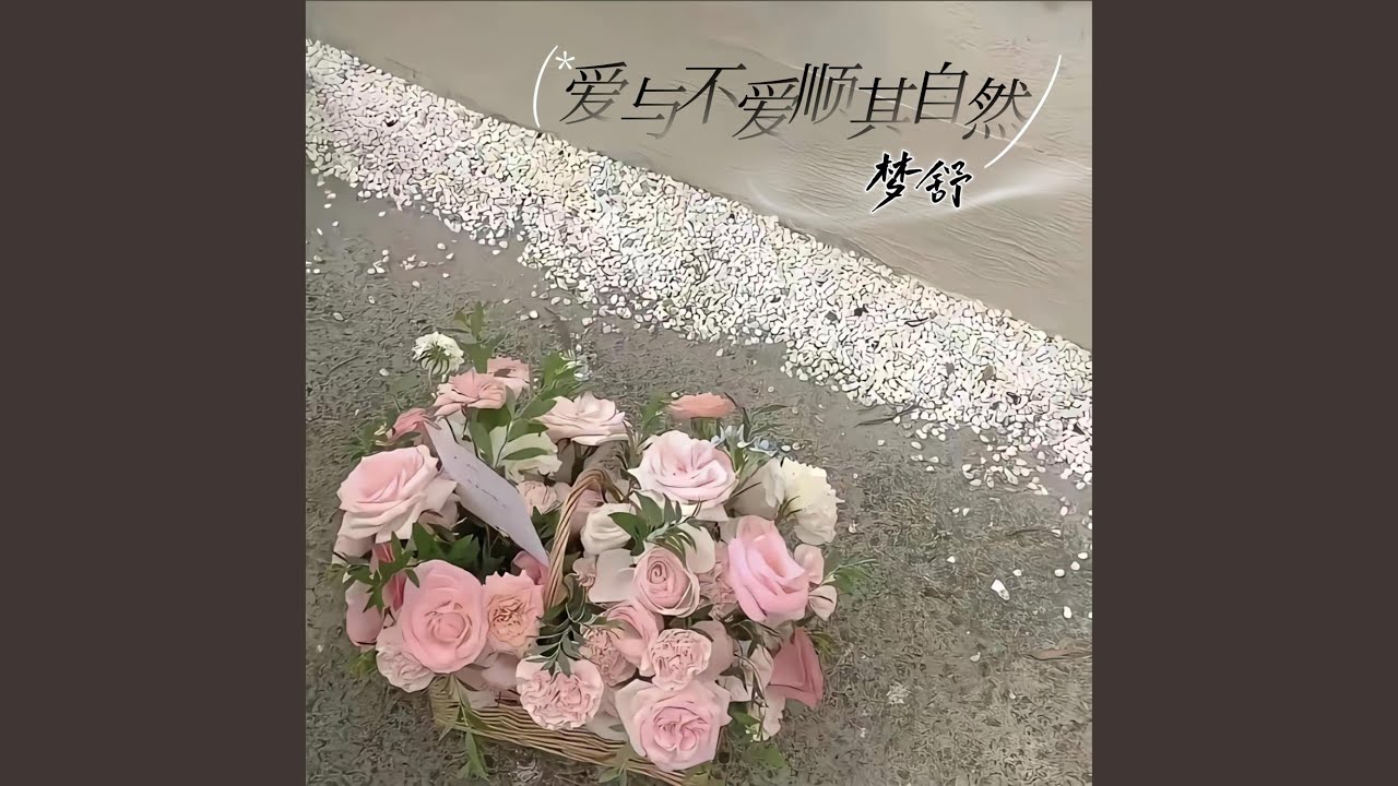 爱与不爱顺其自然