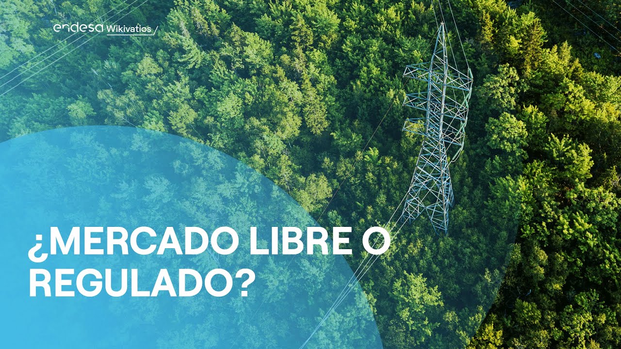 Qué son el mercado libre y el mercado regulado y qué les diferencia | Wikiwatios