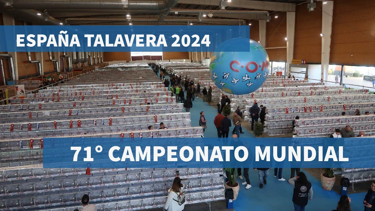 71° CAMPEONATO MUNDIAL DE ORNITOLOGÍA COM 2024