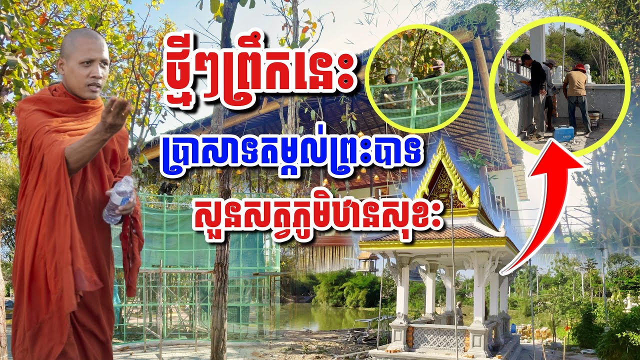 ថ្មីៗព្រឹកនេះប្រាសាទតម្កល់ព្រះបាទ សួនសត្វភូមិឋានសុខៈកាន់តែប្លែក #អាមាត្យជន 