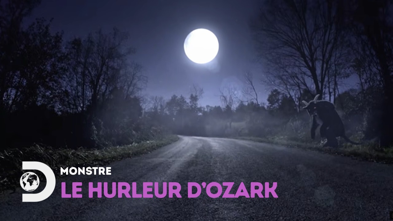 Monstre des Ozarks : félin muté, prédateur invisible ou entité surnaturelle ? Monstres & Légendes
