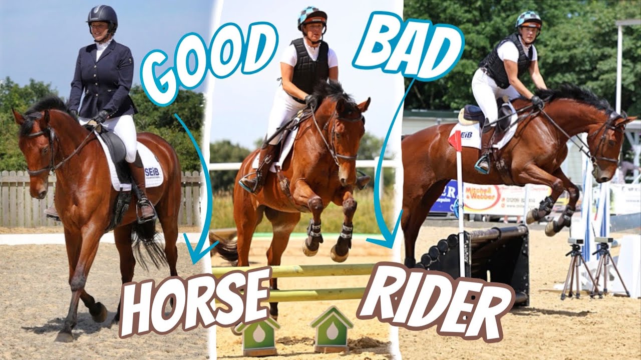 EVENTING ENZO | Our first ODE | Good Horse, Bad Rider - Surprise Result 🏆