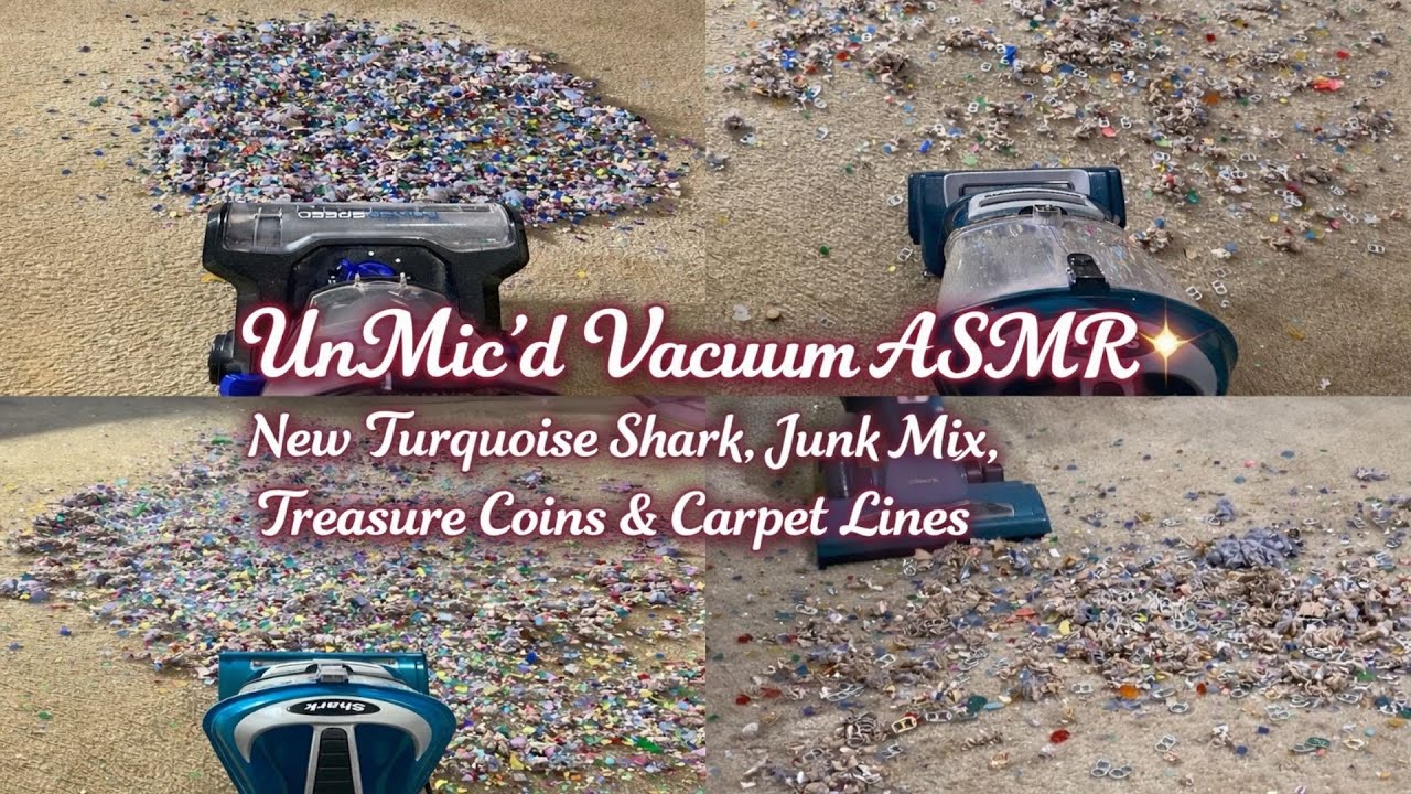 UnMic’d Vacuum ASMR ✨ New Turquoise Shark, Junk Mix, Treasure Coins & Carpet Lines
