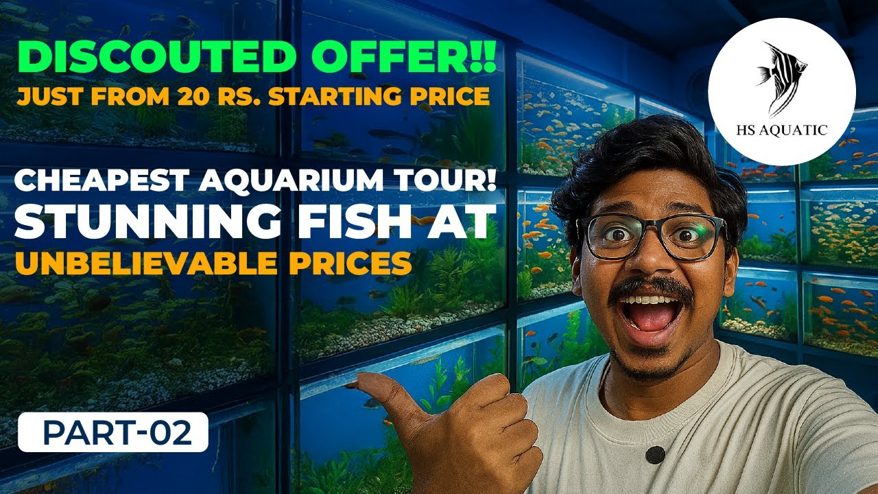 Cheapest Aquarium Tour! 