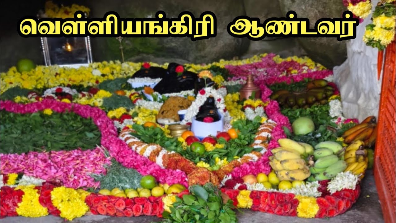 வெள்ளியங்கிரி ஆண்டவர் தரிசனம் வெள்ளியங்கிரி மலை 2026 Velliyangiri Hills 