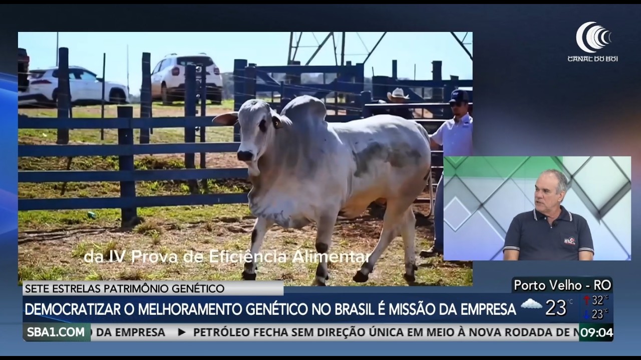 Pioneirismo da Sete Estrelas Patrimônio Genético elevou qualidade da genética nelore no Brasil