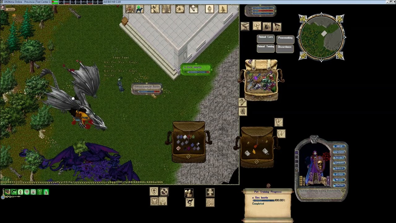 solo super massive dragon nest map 9min on TAMER
