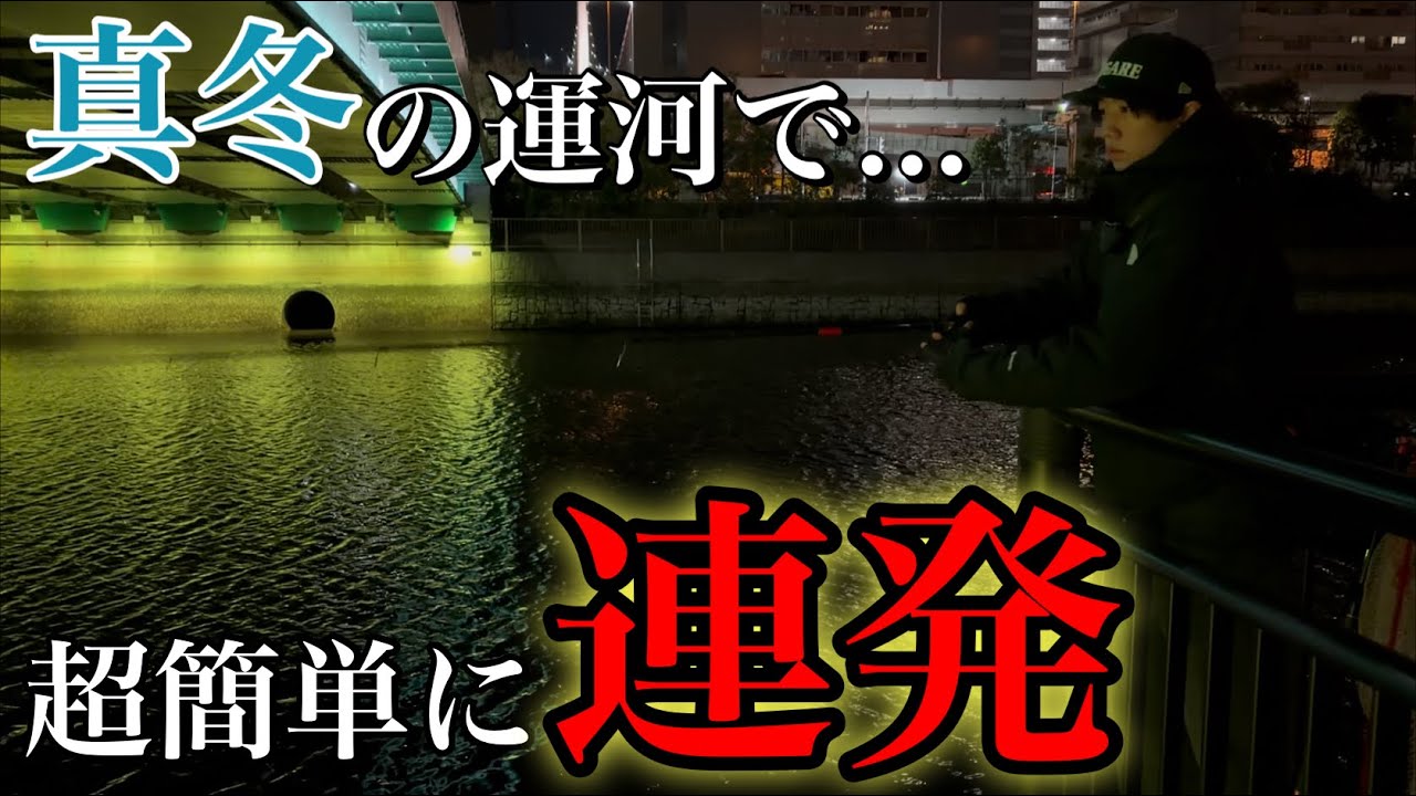 【極寒】真冬の運河であの魚が爆沸きしてて爆釣した⁉︎