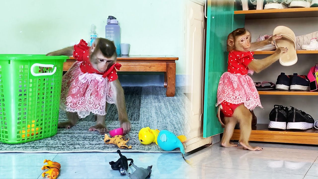 Monkey LyLy was afraid that her mother was tired so she helped her mother do the housework