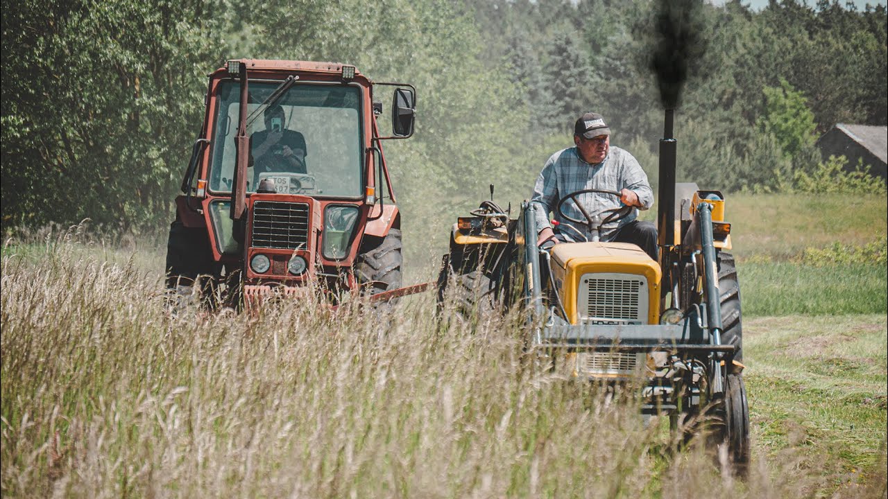 SIANOKOSY 2024 W POLSKIM KLIMACIE! | AKCJA NA 2 CIĄGNIKI | URSUS C-360 & MTZ |