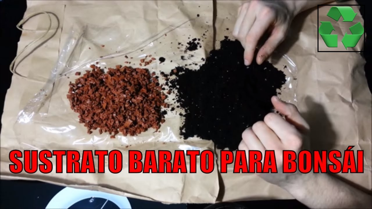 Sustrato bonsái: ladrillo machacado || No Akdama, no Kiryuzuna || Cultivo paso a paso