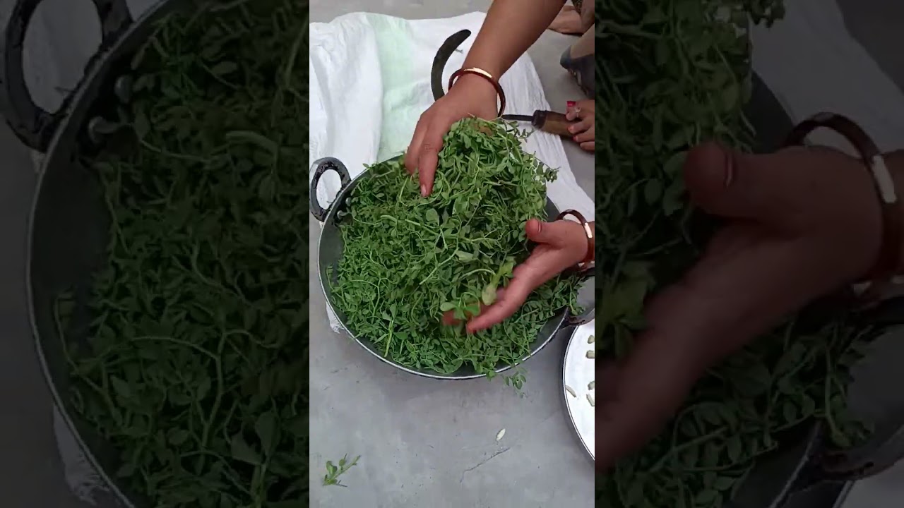 chane ka saag recipe #youtubeshortsvideo