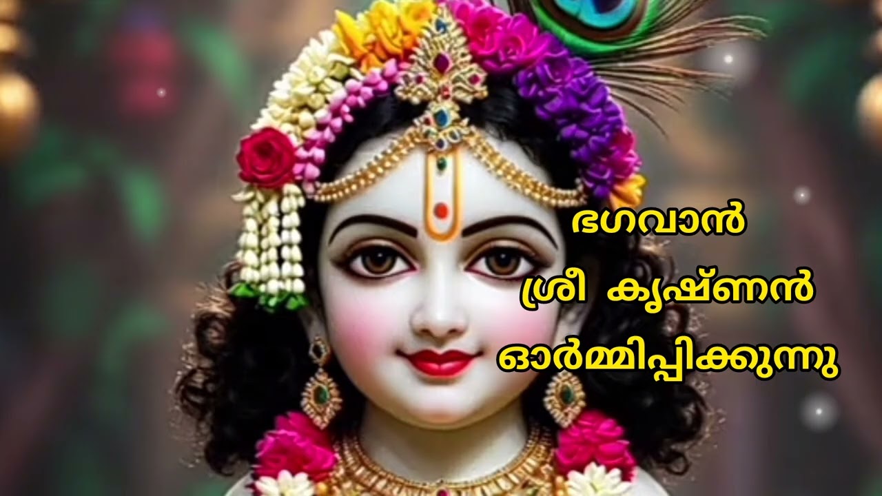 നമുക്ക് കിട്ടുന്ന ഓരോ അനുഭവവും /Krishna talks #🙏🏻