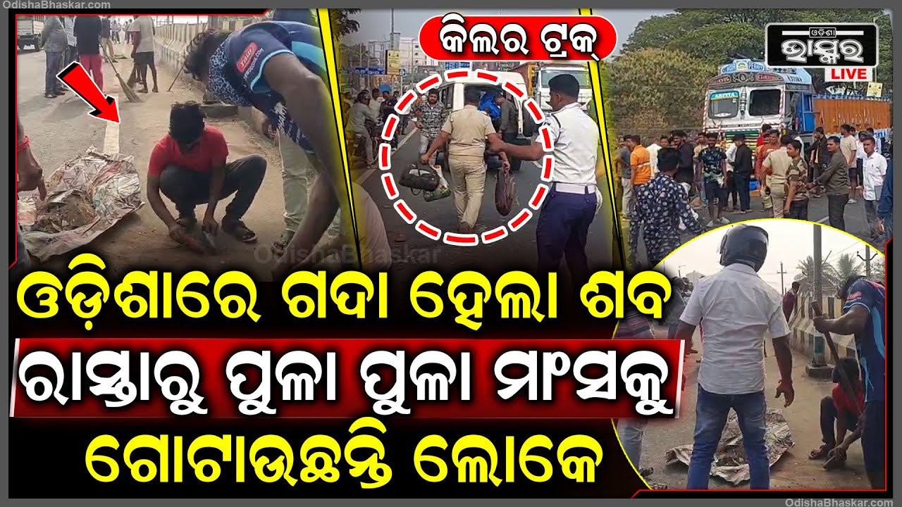 ଓଡିଶାରେ ବ୍ରିଜ ଉପରେ ଗଦା ଗଦା ଶ-ବକୁ ଦେଖି ଦୌଡିଲେ ଲୋକେ...ପୁଳା ପୁଳା ମାଂସକୁ ଗୋଟାଇ କାନ୍ଦୁଛନ୍ତି..ଗଡ଼ୁଛି ୫ମୁଣ୍ଡ
