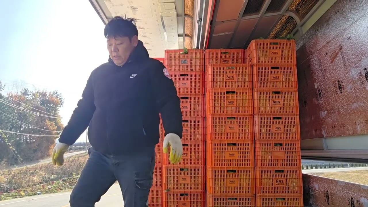 #타타대우#하루일#운송#맥쎈