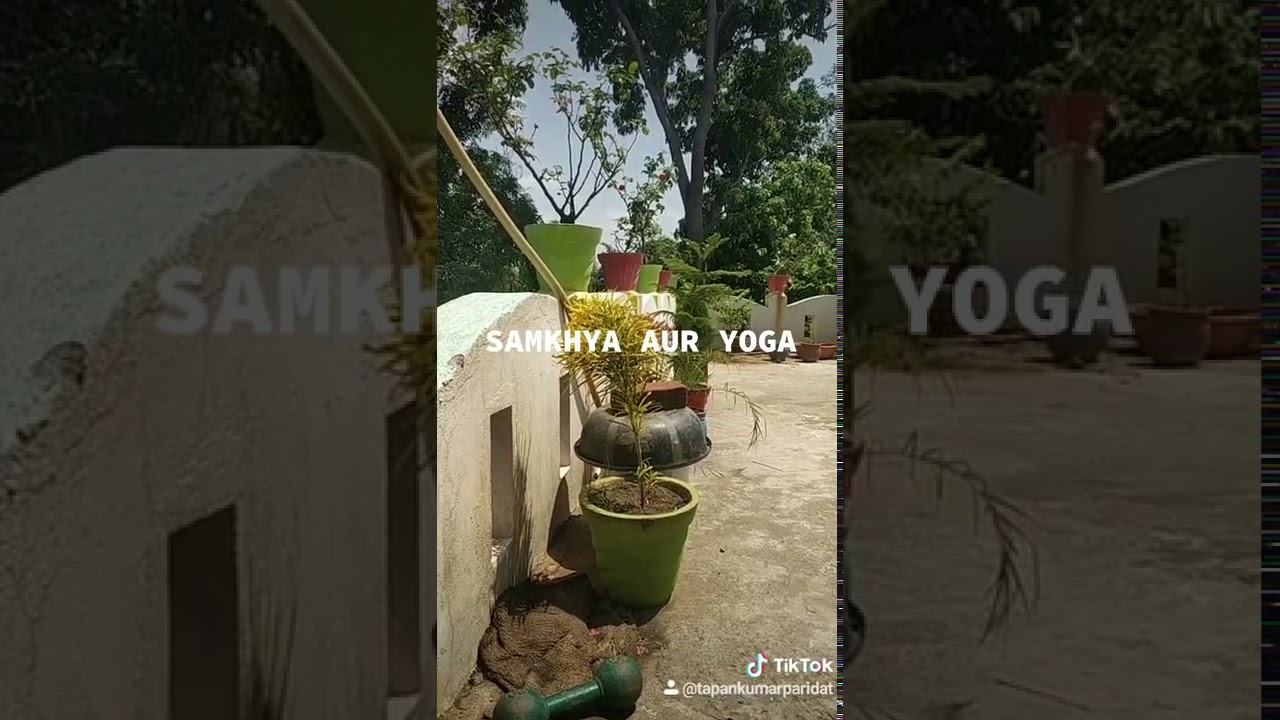 SAMKHYA AUR YOGAWISDOM AND ACTION