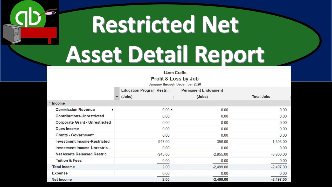 Restricted Net Asset Detail Report 390