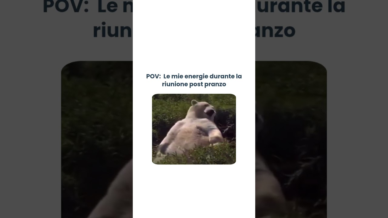 Abbiocco garantito!🤣 