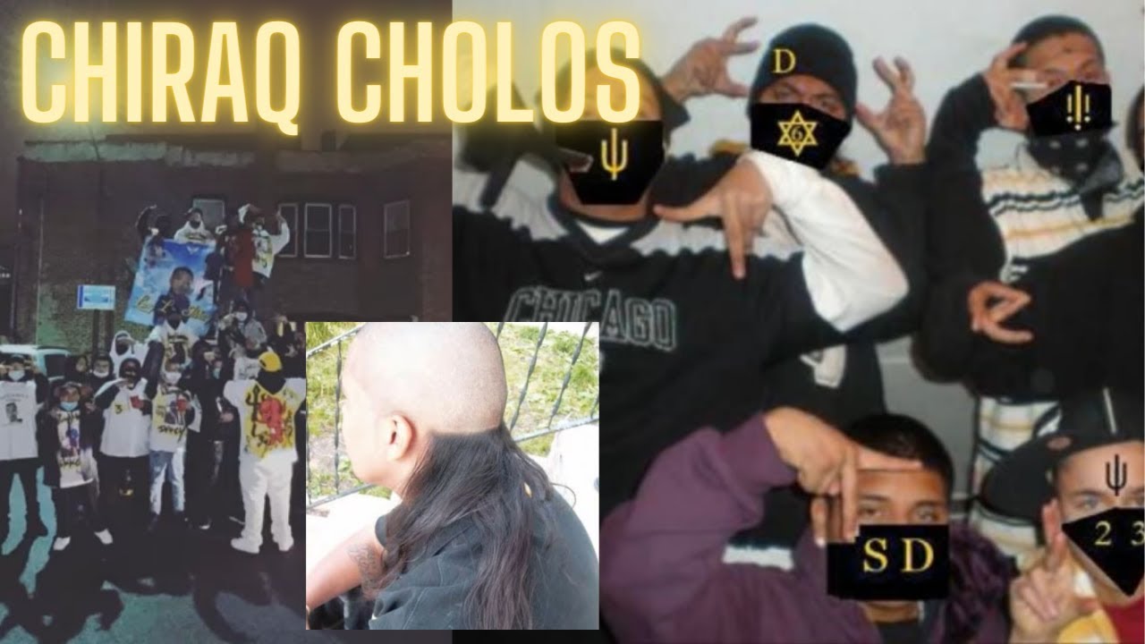 List Of Chicago Latino Gangs