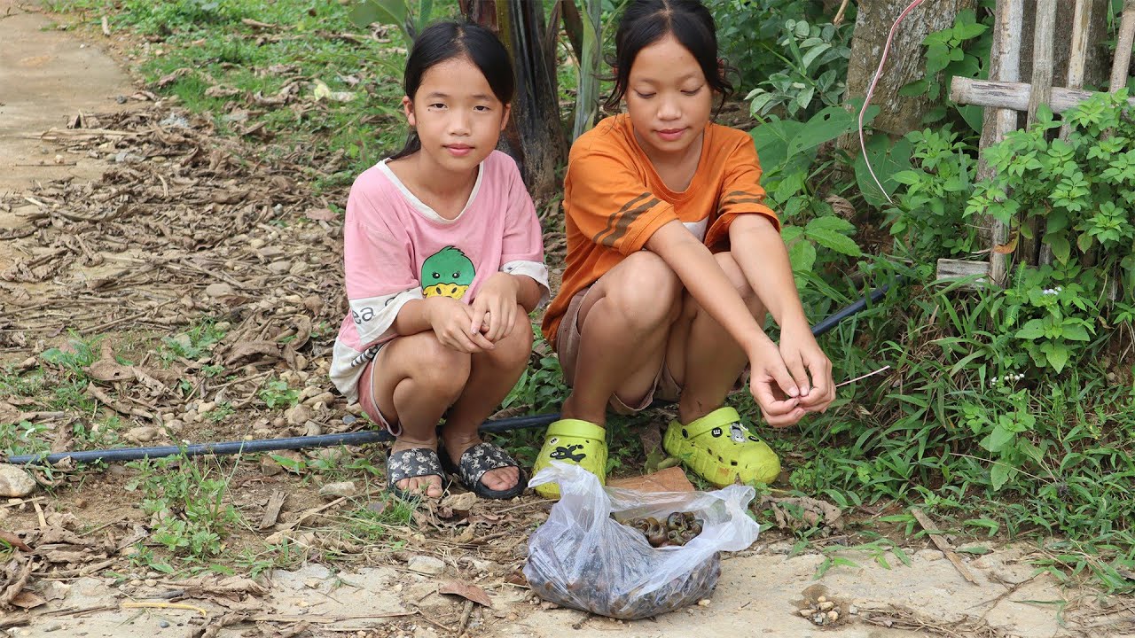 2 Orphan Girls Harvesting Snails for Survival, One Day at a Time