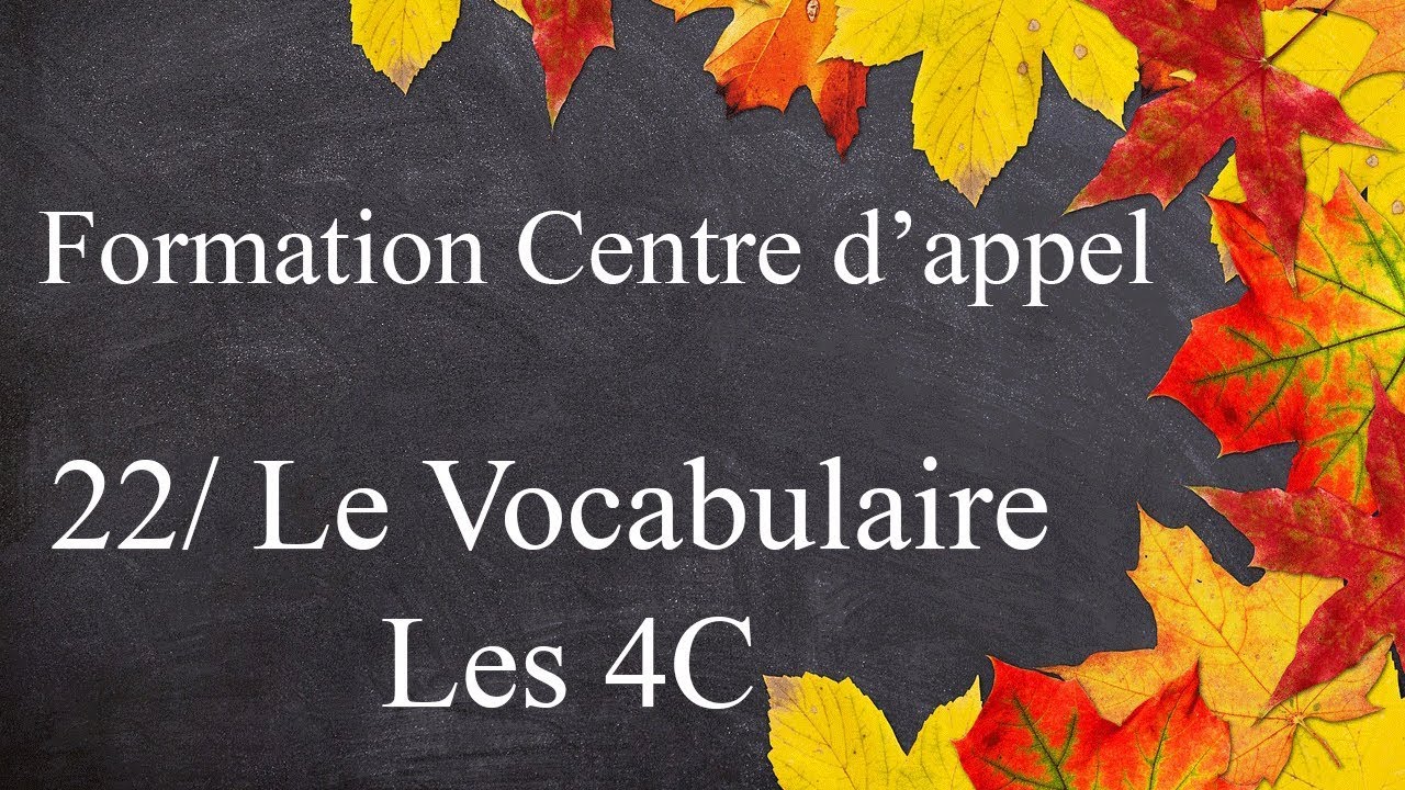 Formation Centre d'Appel - 22 - Le Vocabulaire / Les 4C