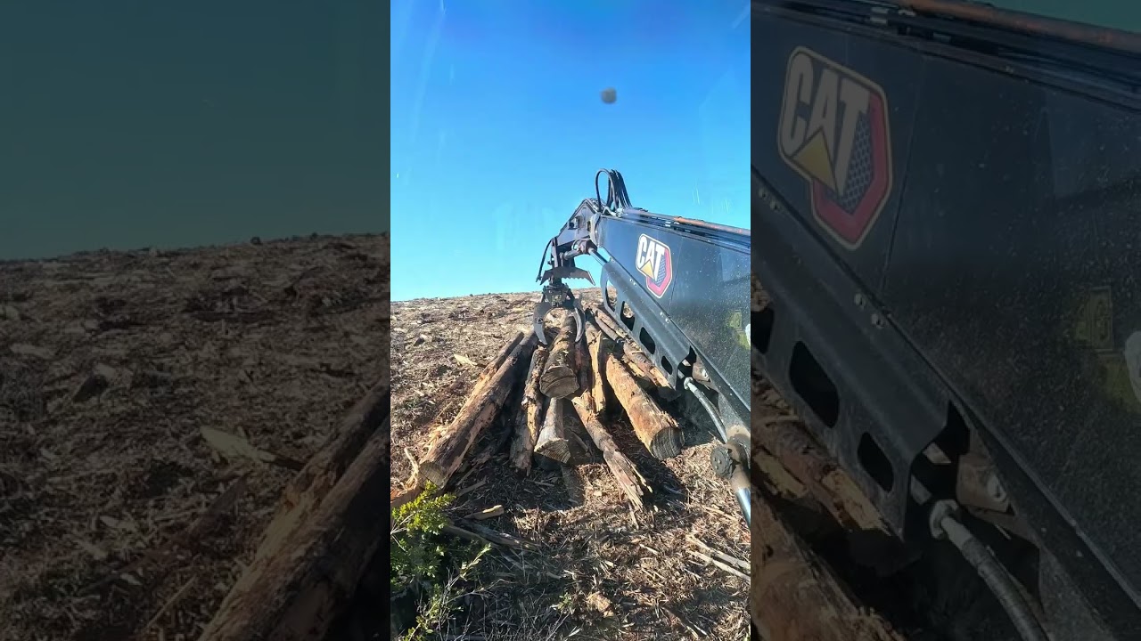 Cat 538 next gen stacking dead sticks