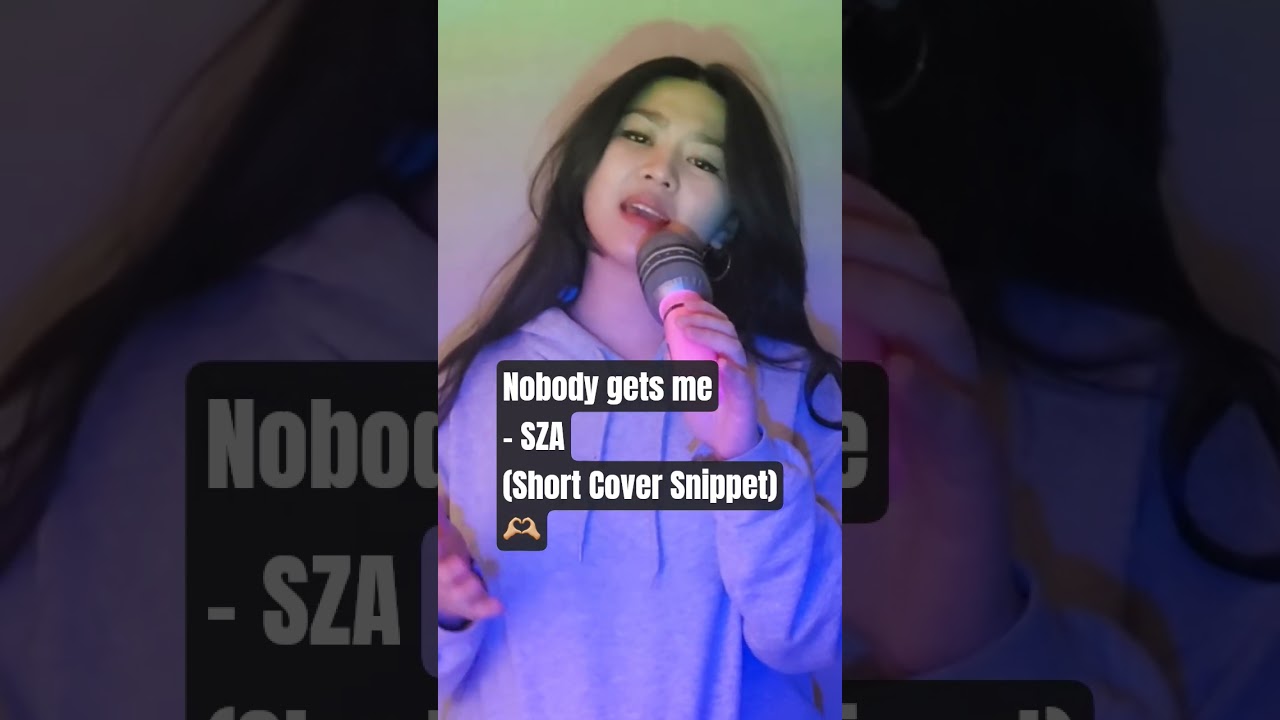 Nobody Gets Me - SZA (Short Cover Snippet) 