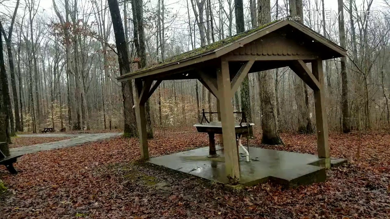 Yellowwood State Forest