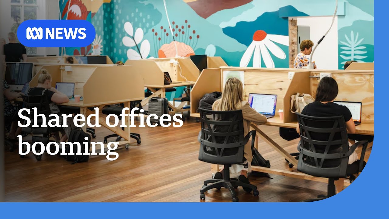 Shared offices rise in popularity amid debate on remote work | ABC NEWS