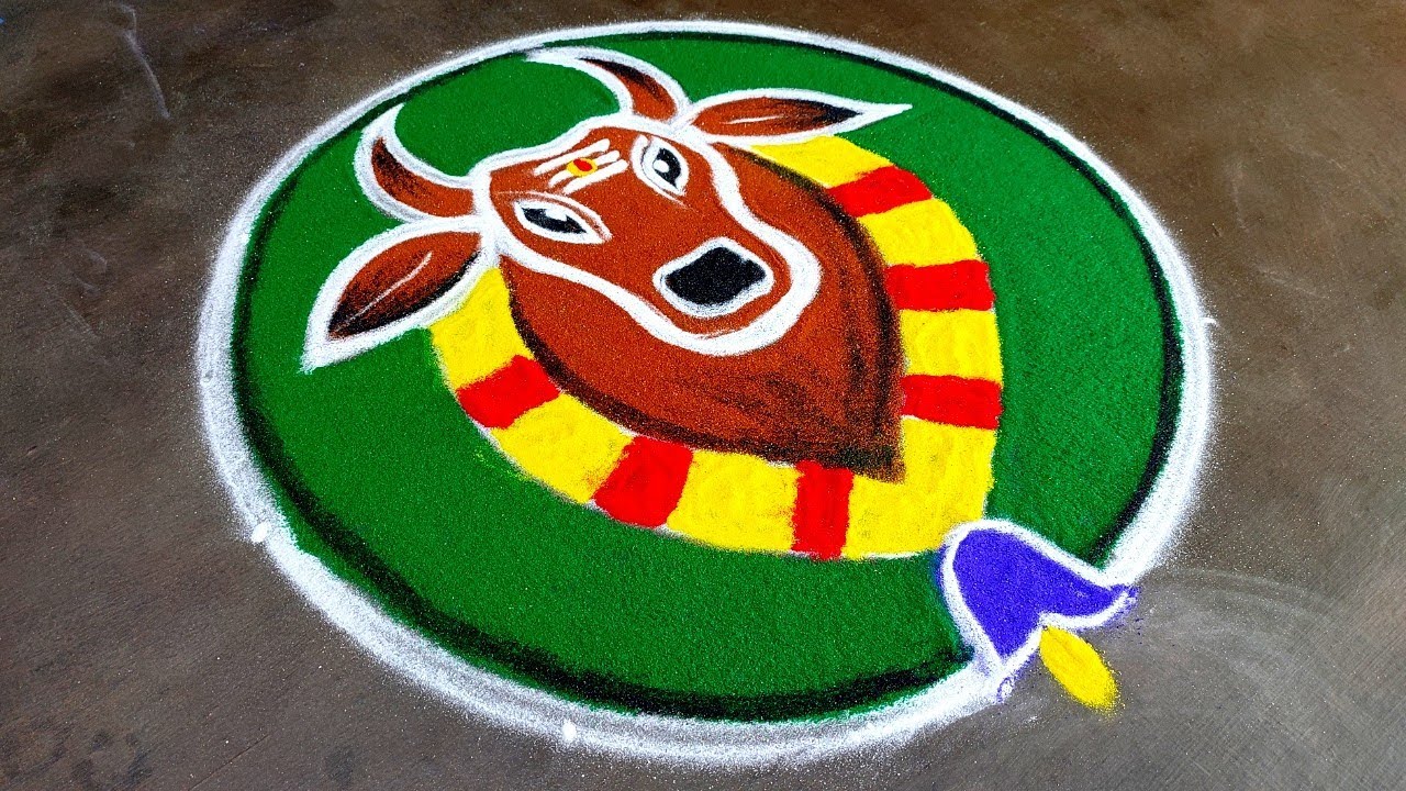 Maatu pongal simple maadu kolam||sankranthi 2025 basavanna muggulu| maadu kolam| Amazing rangoli