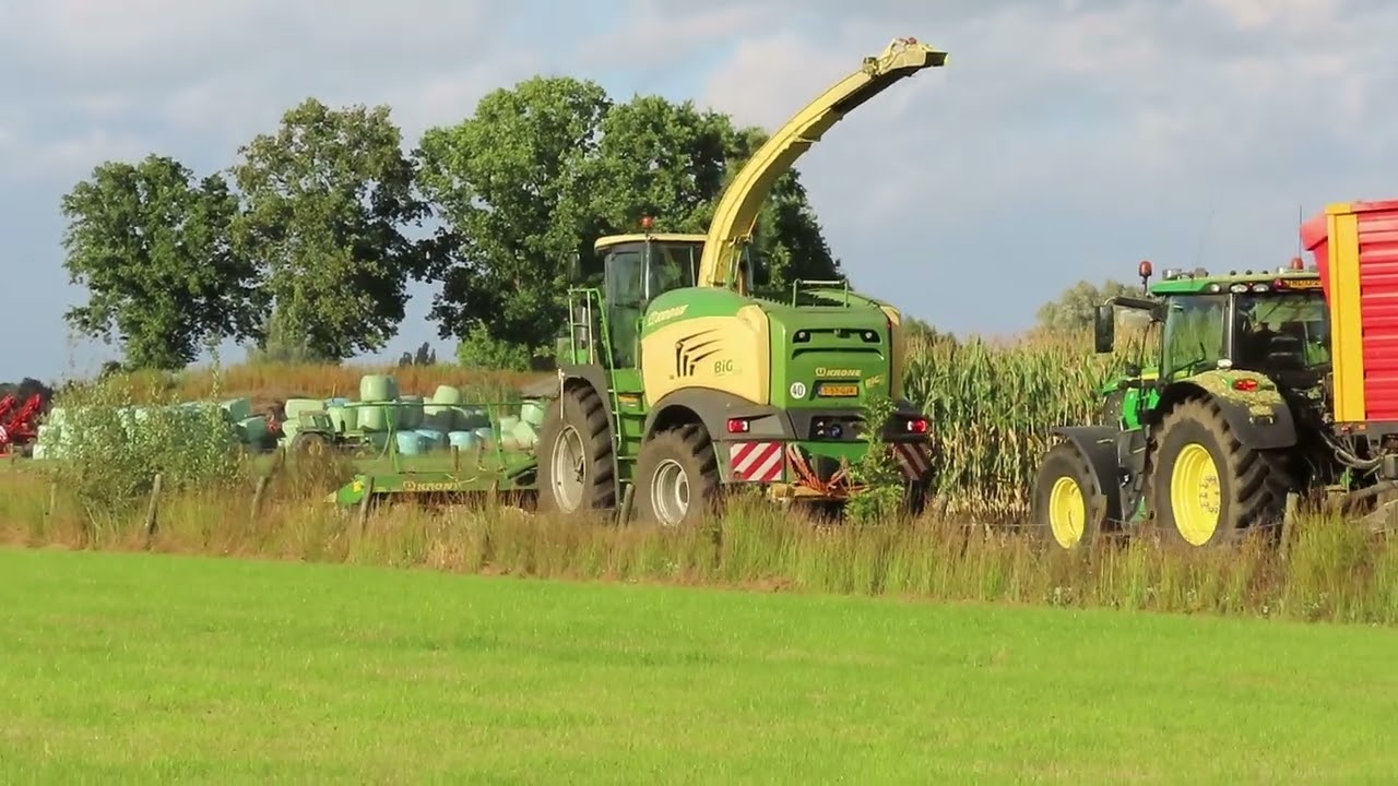 Maize harvest near Apeldoorn