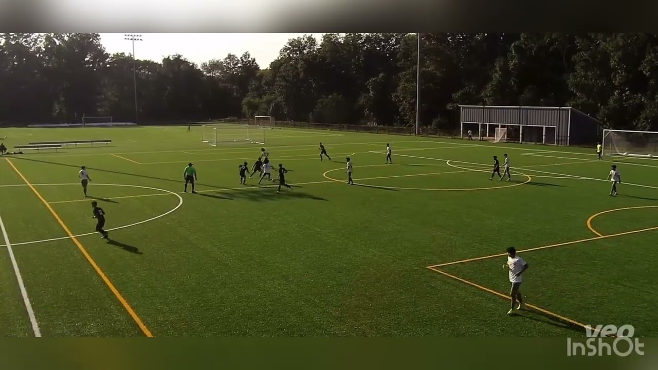 Highlights 