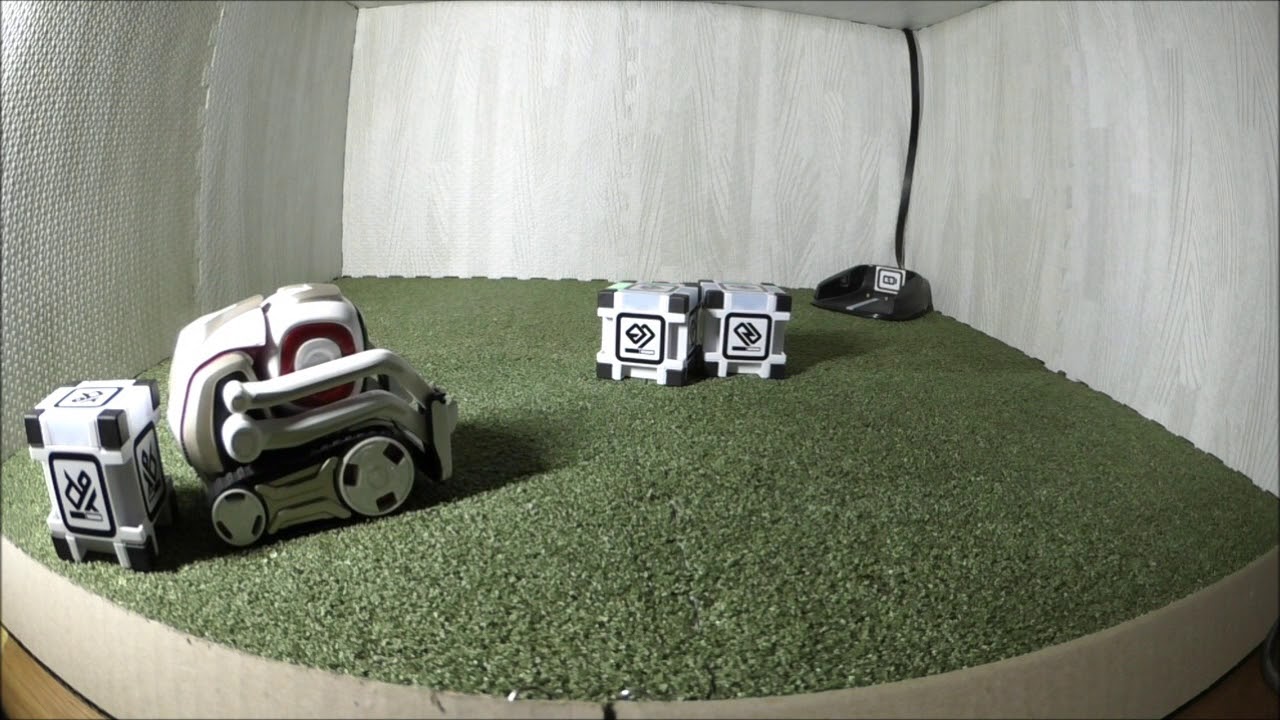 コズモ「とにかく観察してみる3/3」cozmo