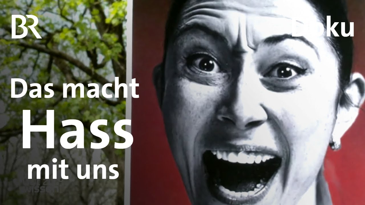 Was macht Hass mit uns? (1/3) | Gut zu wissen | Doku | BR