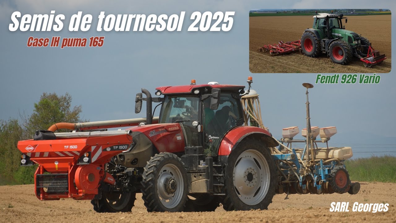 Semis de tournesol 2025 🌻SARL Georges