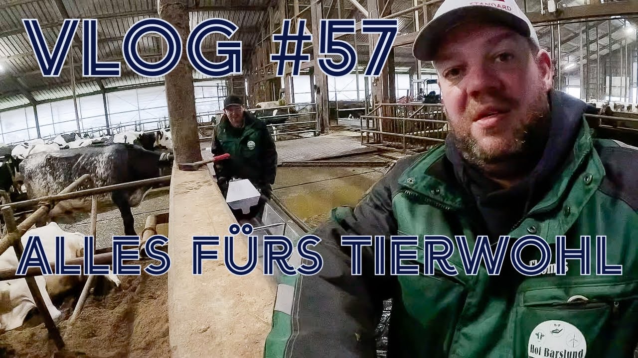 Farm-Vlog #57 Neue Tränken für die Kühe, alles für´s Tierwohl