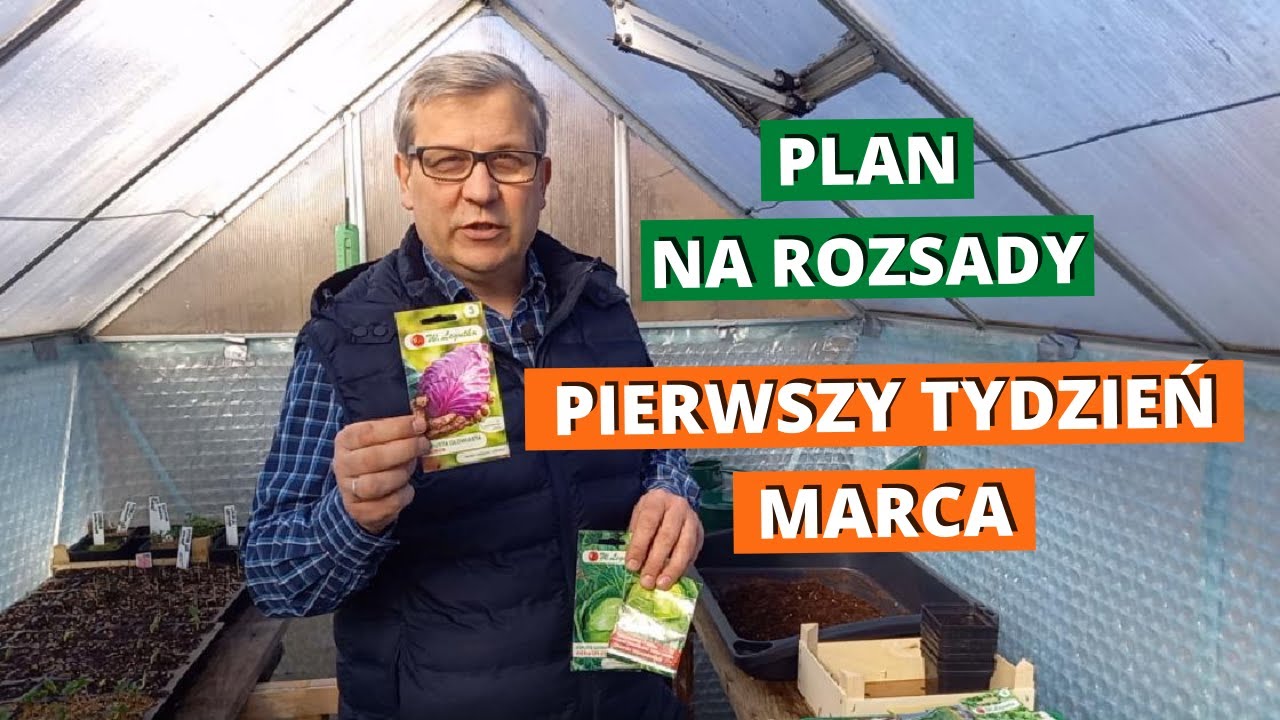 Co siać w pierwszym tygodniu marca? Plan na rozsady