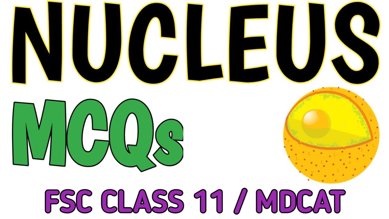 NUCLEUS | BIOLOGY MCQS | FSC CLASS 11/MDCAT