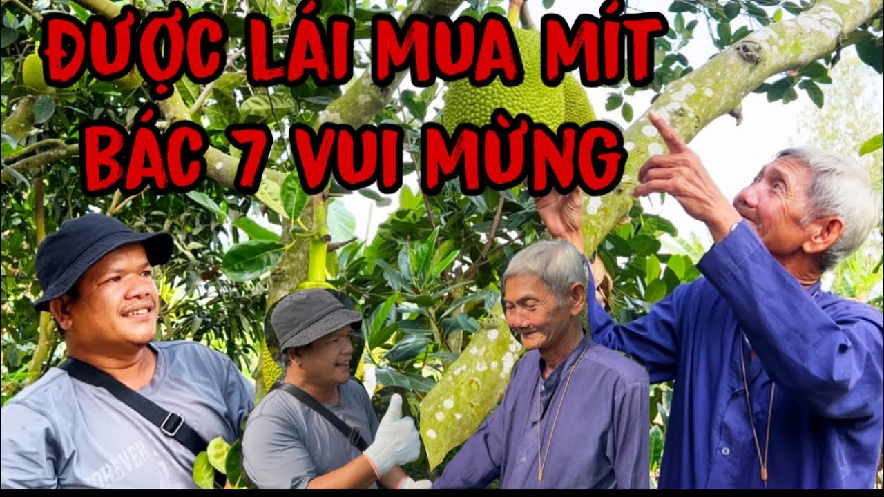 Cập Nhật giá mít hôm nay của chú thương lái dễ thương 