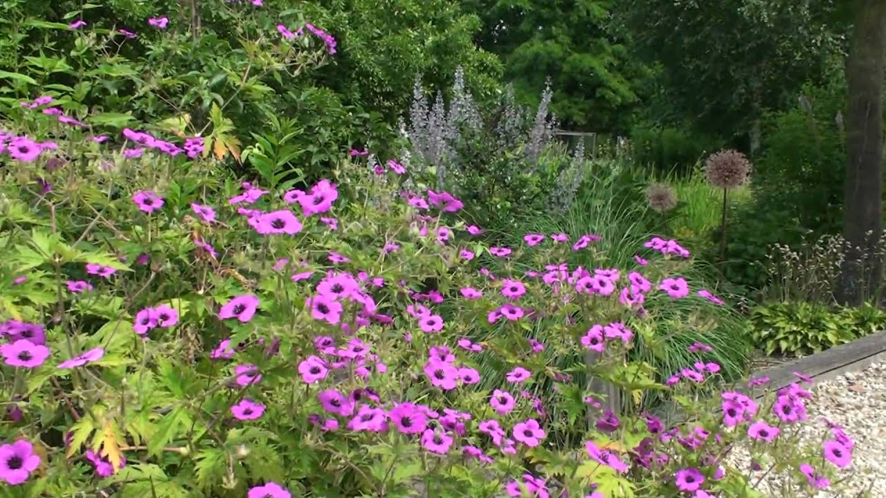 Engelse tuin de Murrenhof in Loosdrecht - Breukeleveen (Full HD)