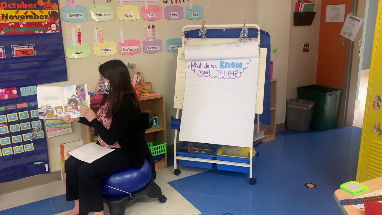 Text to Self Connections lesson