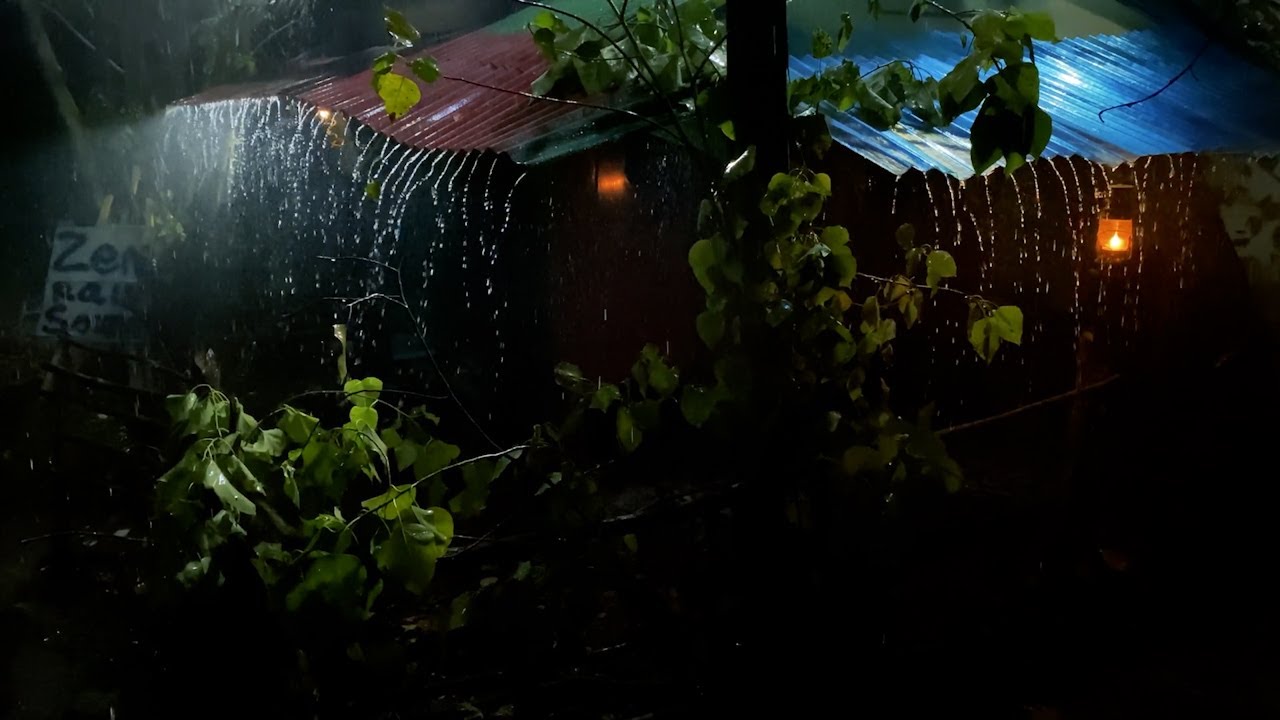 Relaxing Rain Sounds on Tin Roof at Night 🌧️ Cozy Cabin Ambience for Deep Sleep
