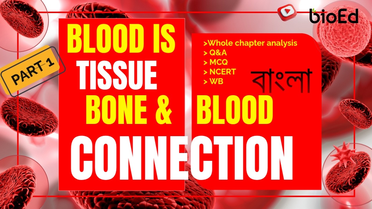 BLOOD IS TISSUE || Part 1 || WB Board || NCERT || ICSE || রক্ত একপ্রকার যোগ কলা || হাড় থেকে তৈরি MCQ