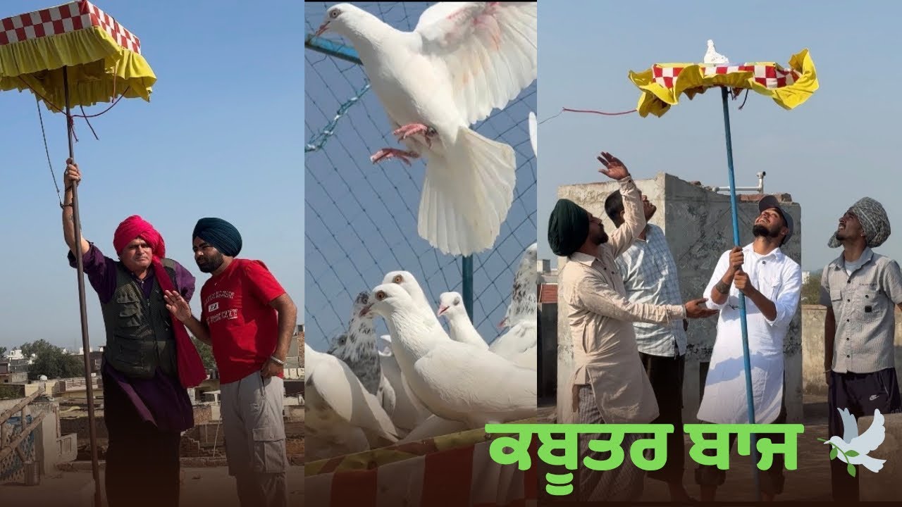 kaboootra,di.bazi ਕਬੂਤਰਾਂ/ਦੀ&rdquo;ਬਾਜ਼ੀ(Bhana:Bhagoada Punjabi movie 2026