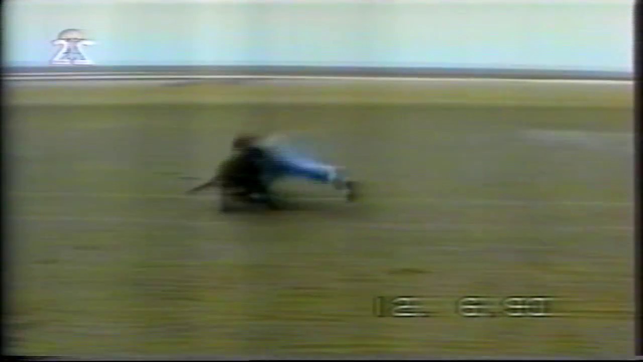 America Funniest Home Videos 80s/90s (VHS TAPE)