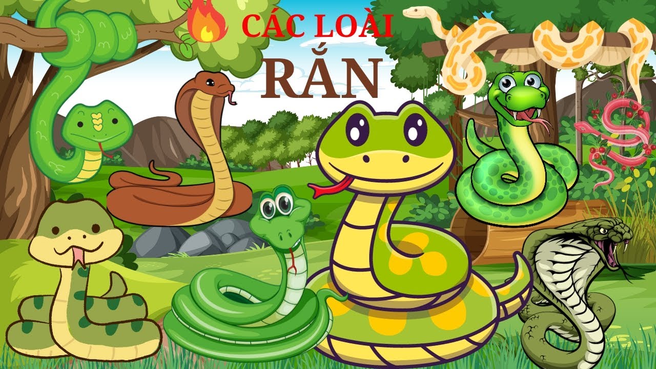 Dạy B&eacute; N&oacute;i Con Rắn | B&eacute; Nhận Biết C&aacute;c Lo&agrave;i Rắn | Rắn Ri, Rắn Hổ Mang, Rắn Đu&ocirc;i Chu&ocirc;ng | Ruby TV